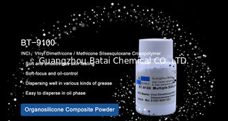Komposit silicone Powder Methicone Silsesquioxane Crosspolymer Coating Permukaan Efek Halus